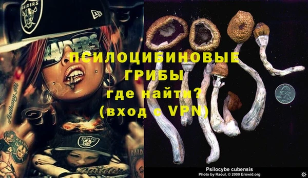 героин Абаза